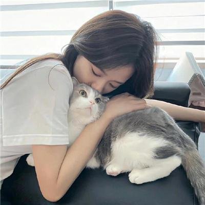 孤星血泪